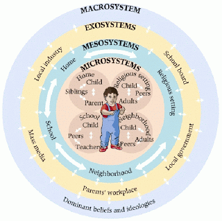 micro-meso-systems